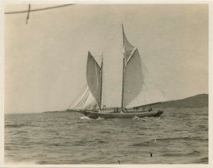 Image of Newfoundland fishing schooner wing and wing